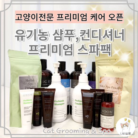 요미살롱 이미지