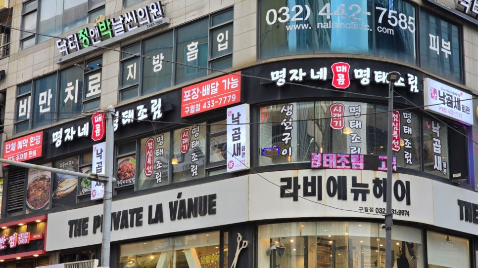 명자생선 이미지