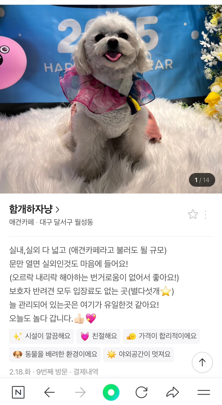 함개하자냥 이미지
