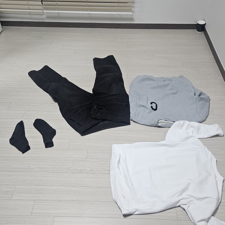 보납젤라또 이미지