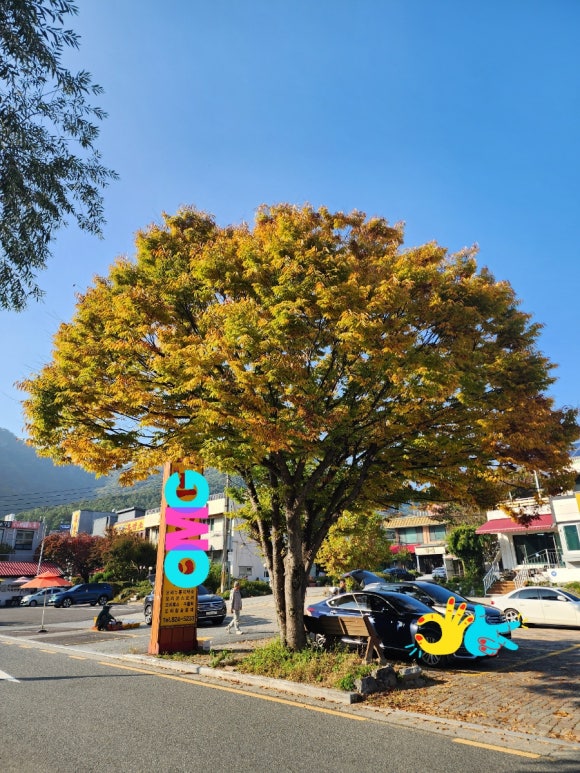 수통골오리불고기전문점 이미지