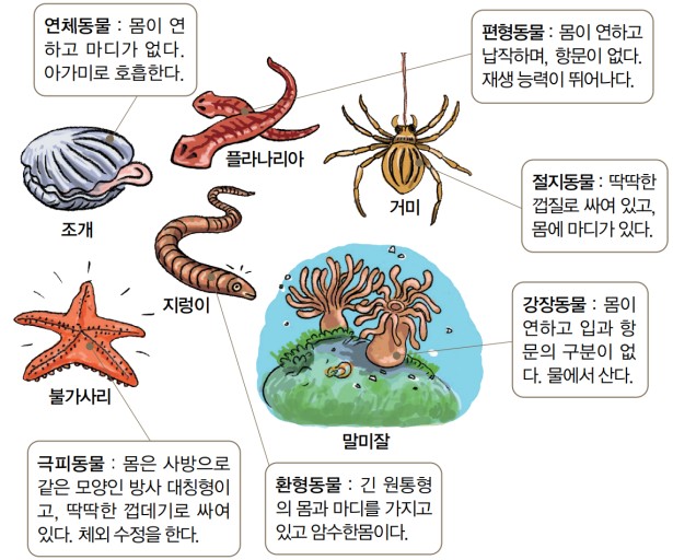 엠디 이미지