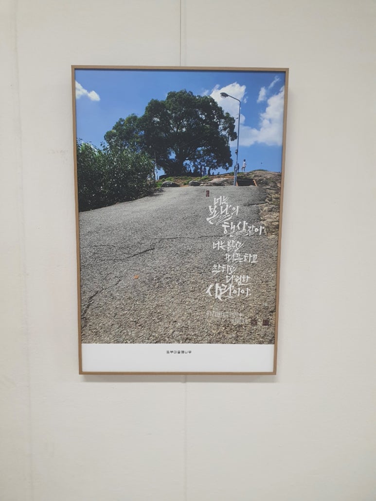 수풀캘리그라피 이미지