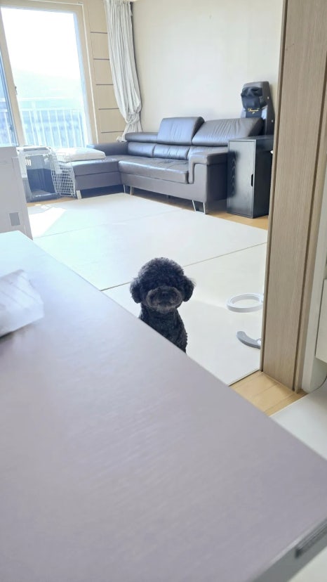 팔.칠유통 이미지