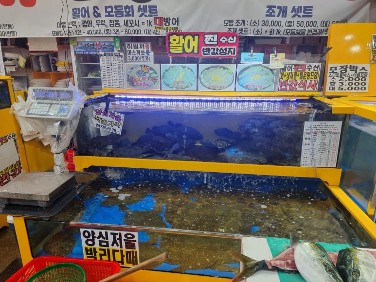 대명찐수산 이미지