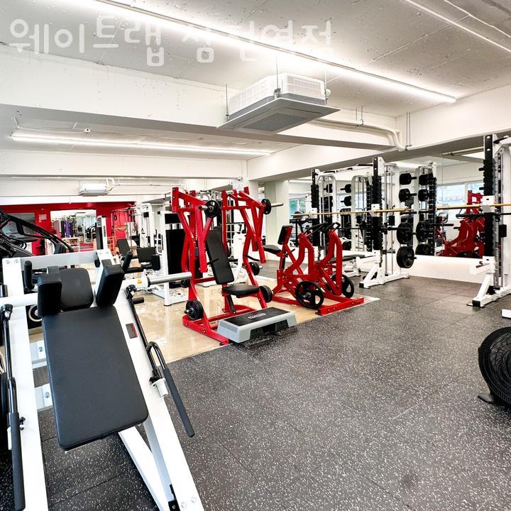 웨이트랩삼전역점 이미지