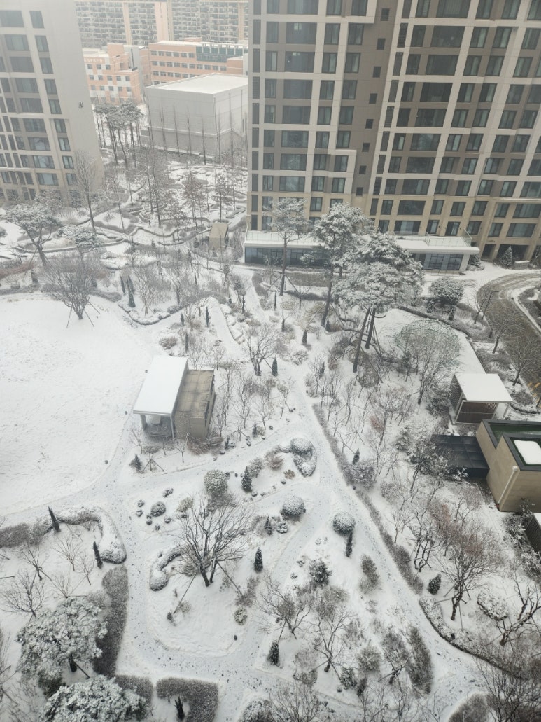맑은숲한의원 이미지