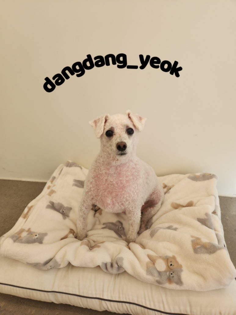 보리미용실 이미지