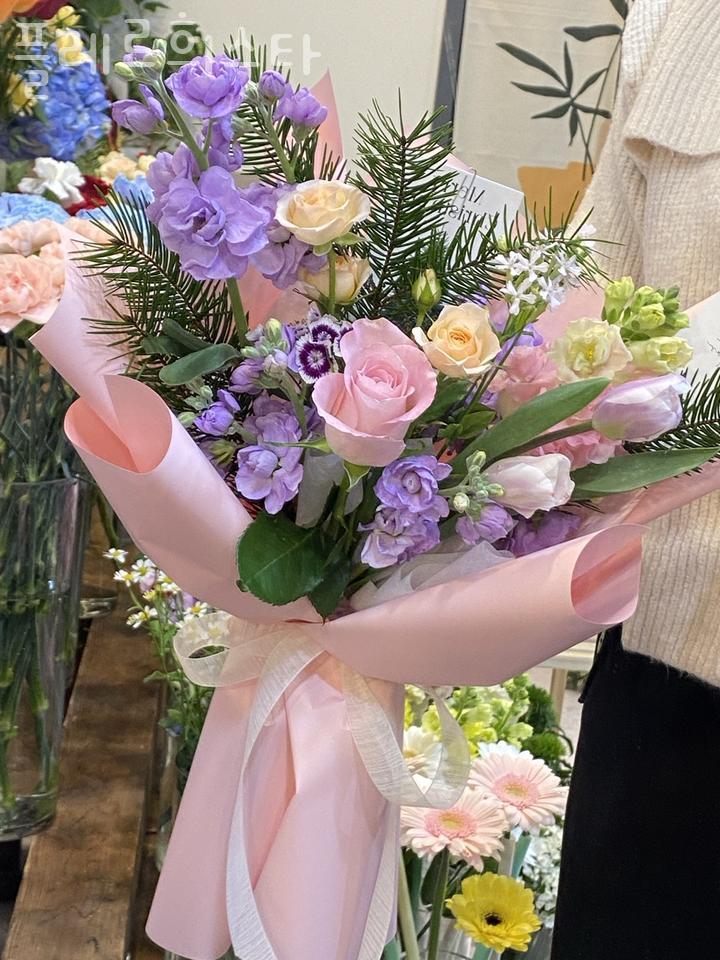 플레르희스타 이미지