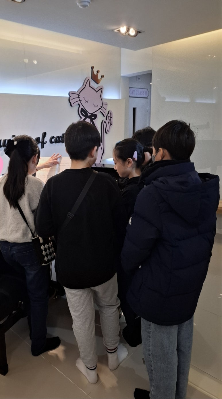 피아노치는고양이학원 이미지