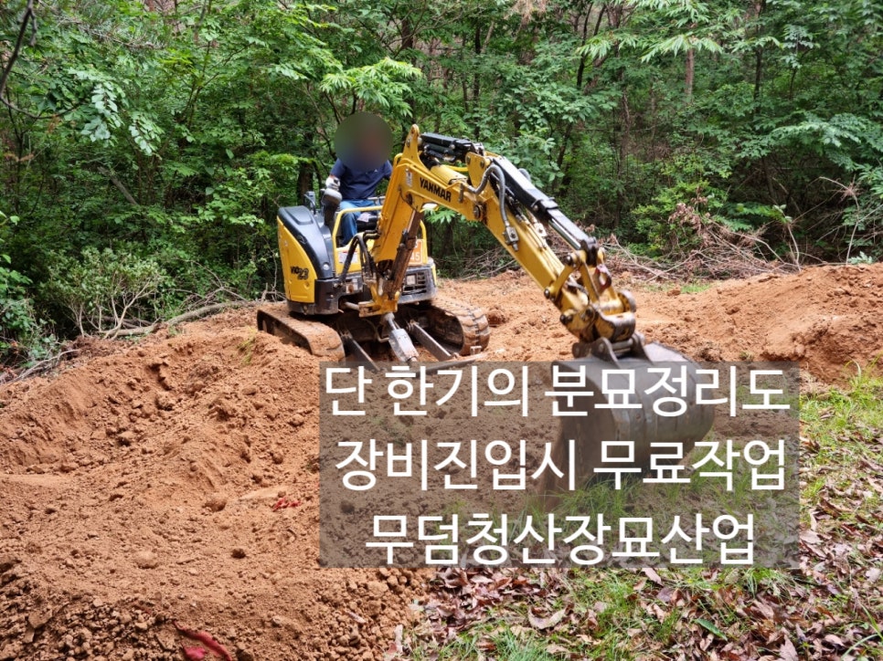 오동인력 이미지