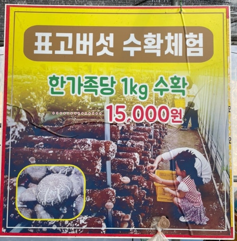 찬우물버섯농장 이미지