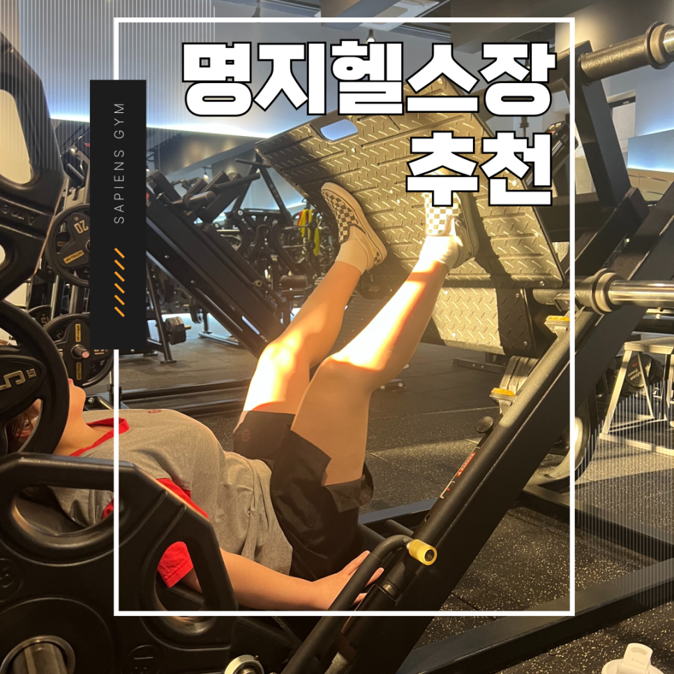 싸피엔스짐 이미지
