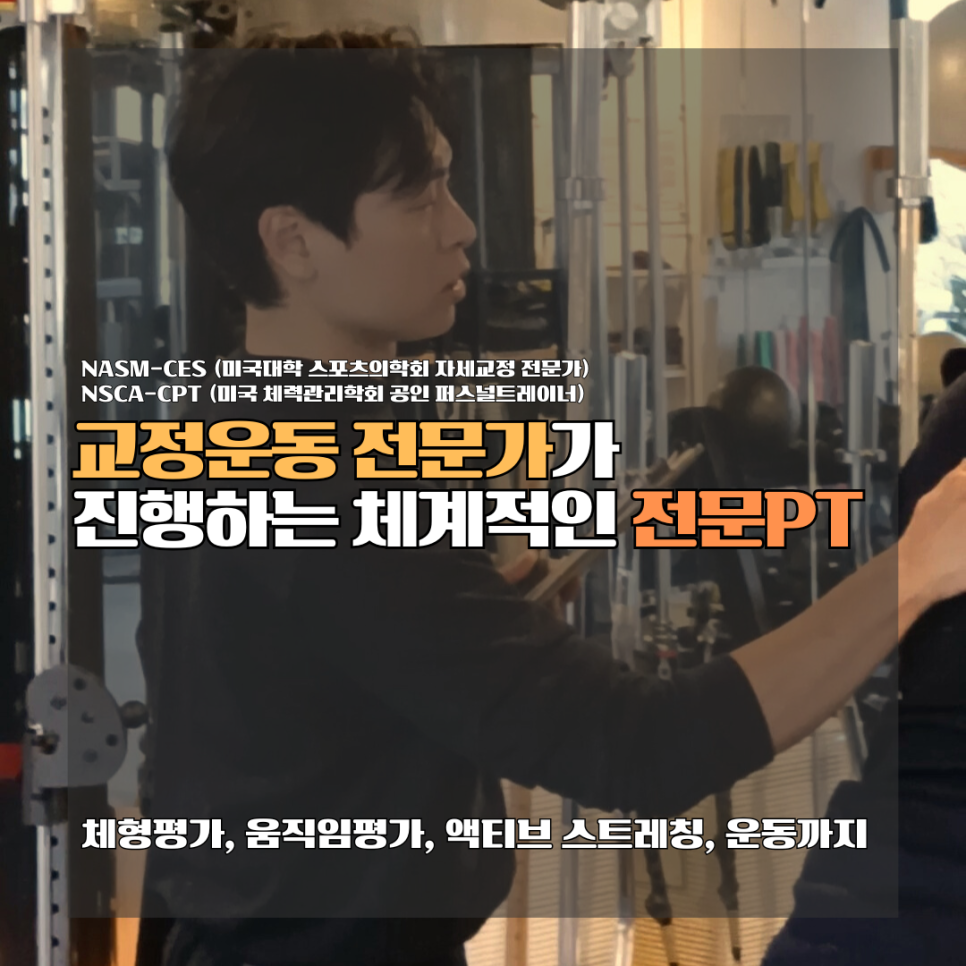 직선퍼스널트레이닝 이미지