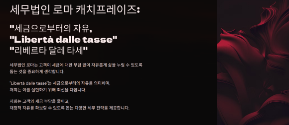 세무법인비전 이미지