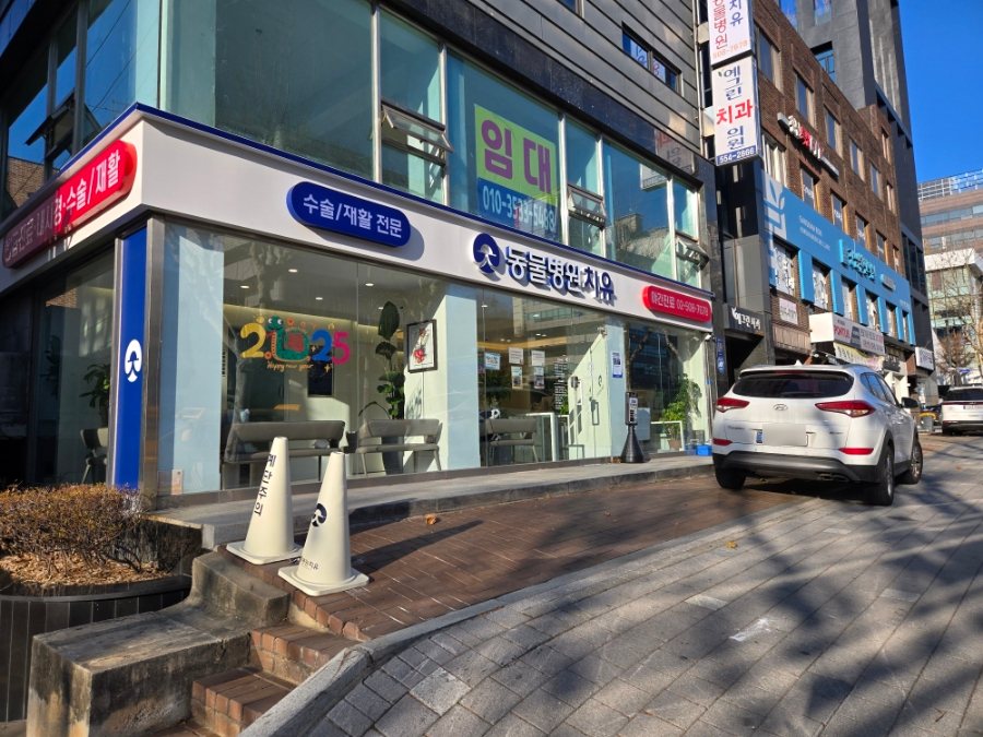 강남 24시 도곡치유 동물병원: 강아지 슬개골 건강검진 후기 — 사진 2