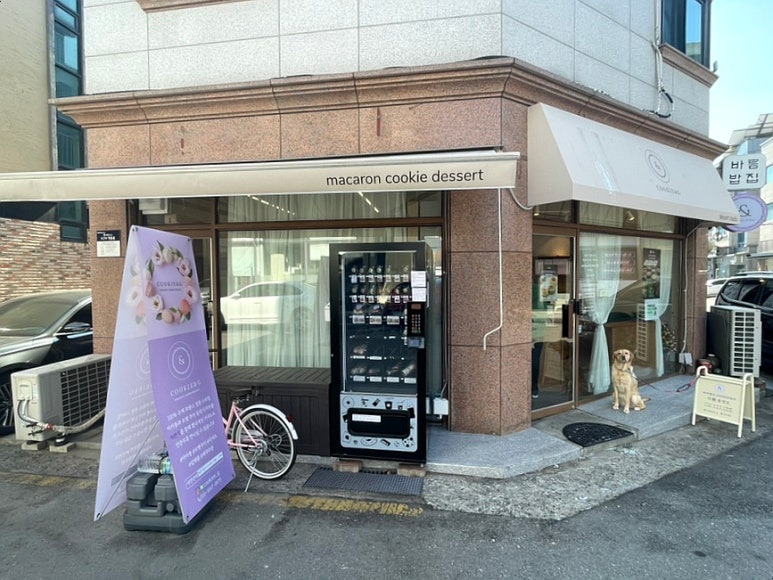 앤지시 이미지