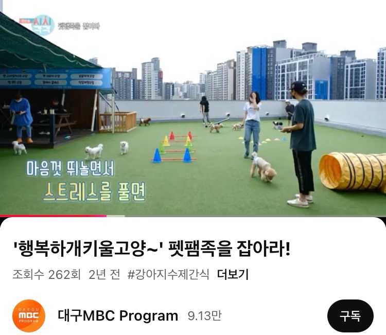 함개하자냥 이미지