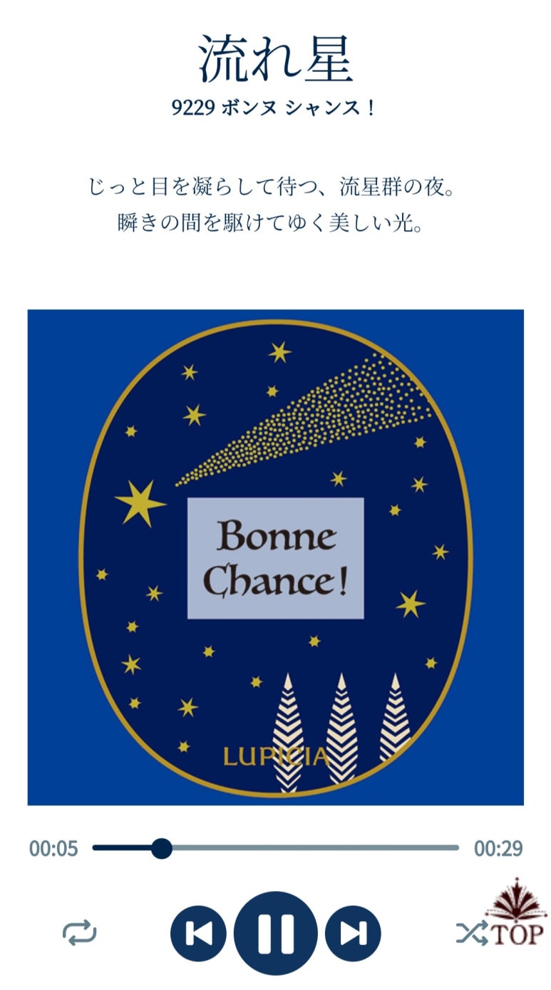 본샹스(Bonne chance) 이미지