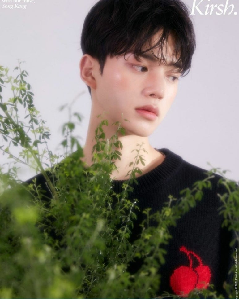 키르시 이미지