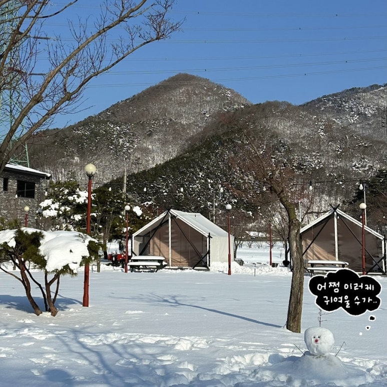 애플글램핑 이미지