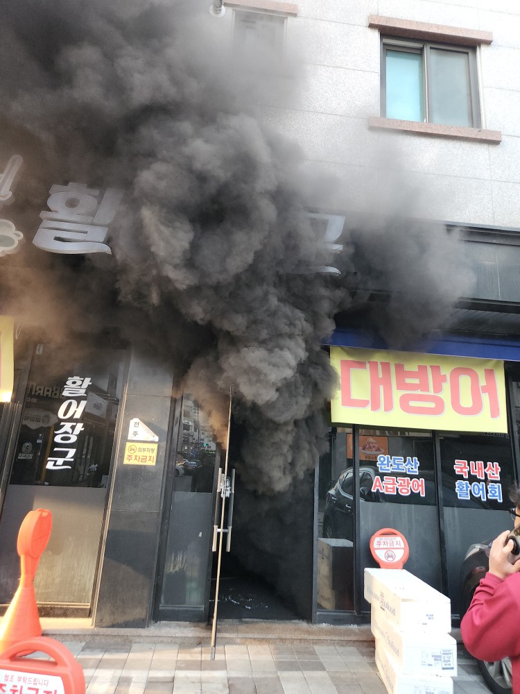 활어장군 이미지