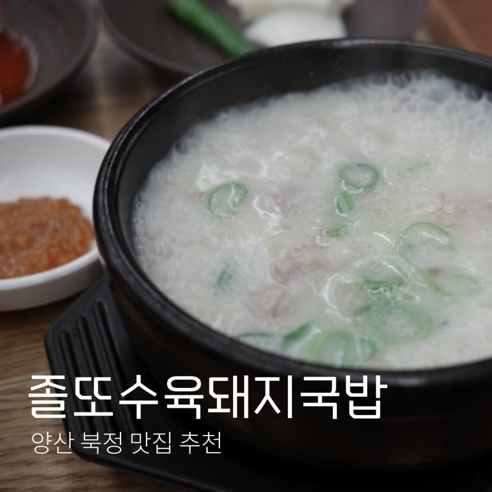 졸또 이미지