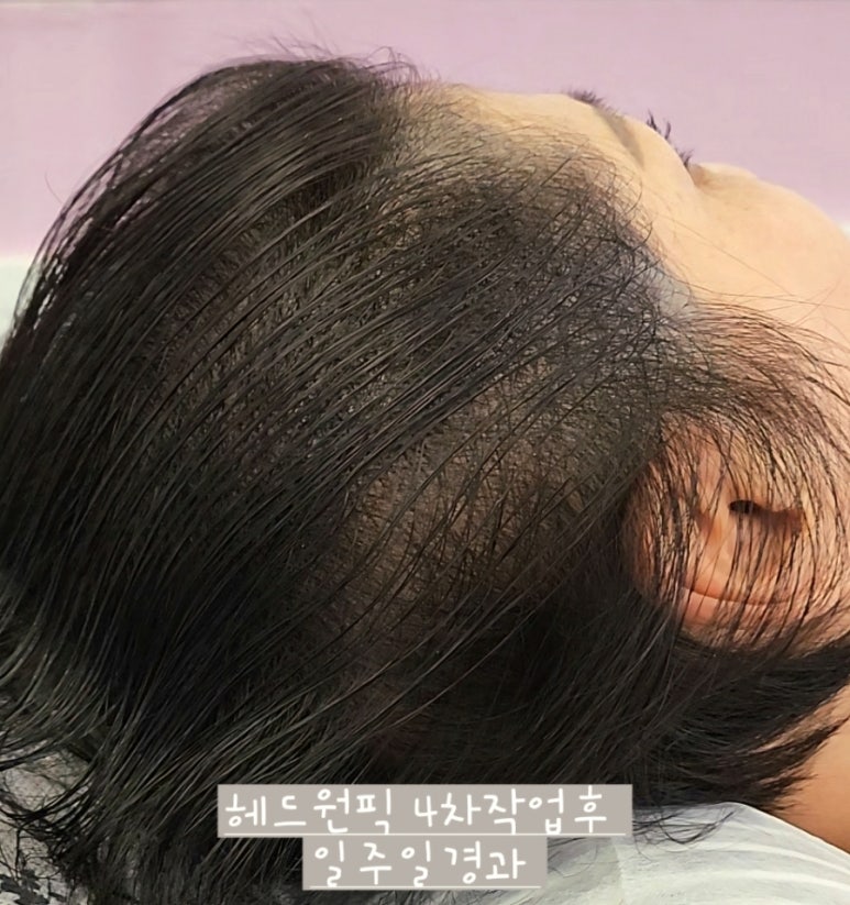 릿따 스타일 이미지