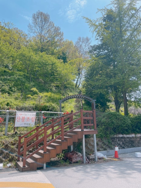 안산조은시니어센터 이미지