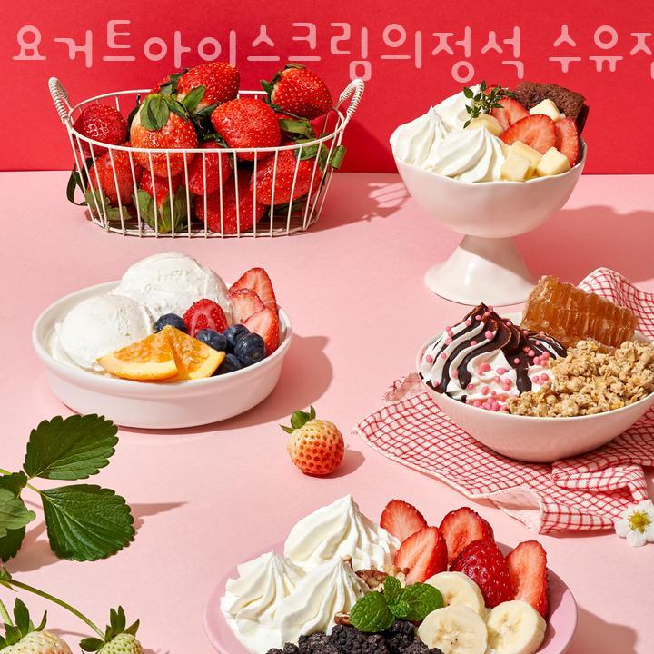 카페요거트아이스크림의정석 이미지