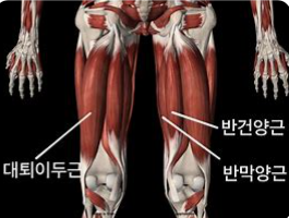 스탠바이짐 이미지