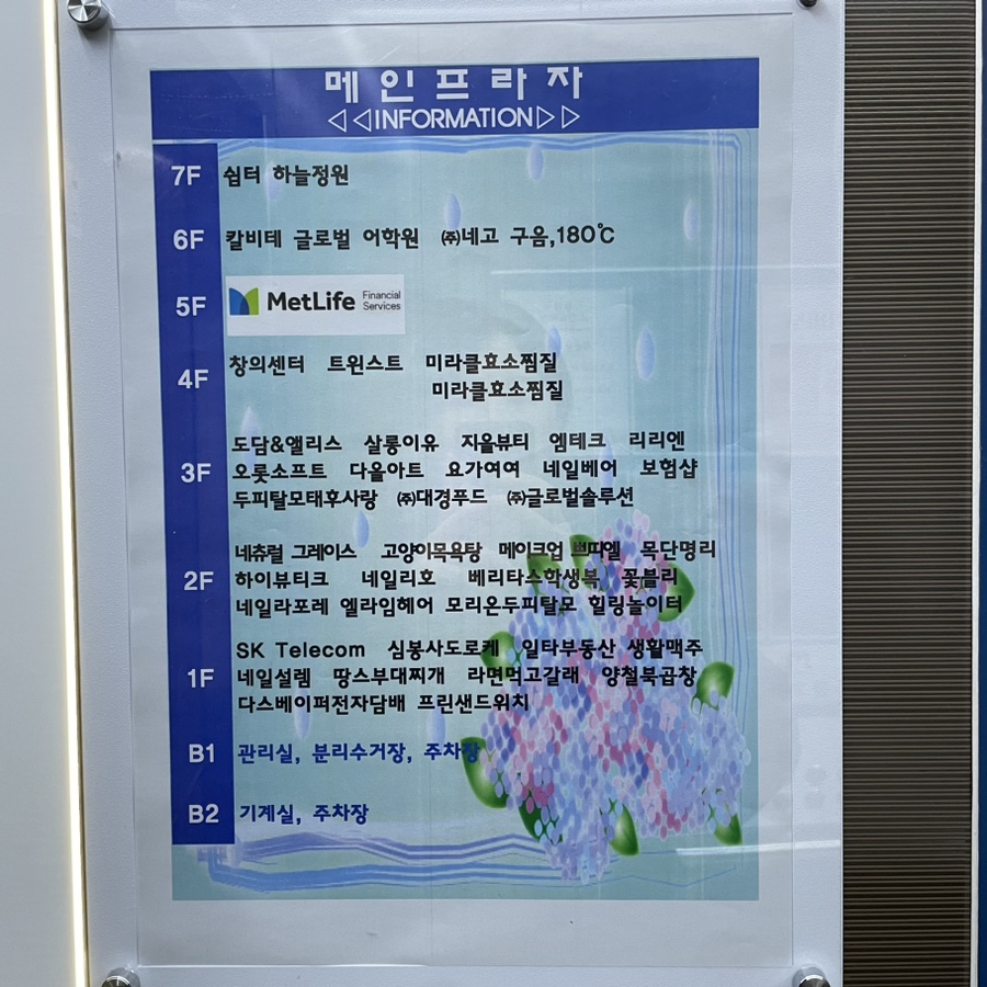 모리온두피탈모 이미지