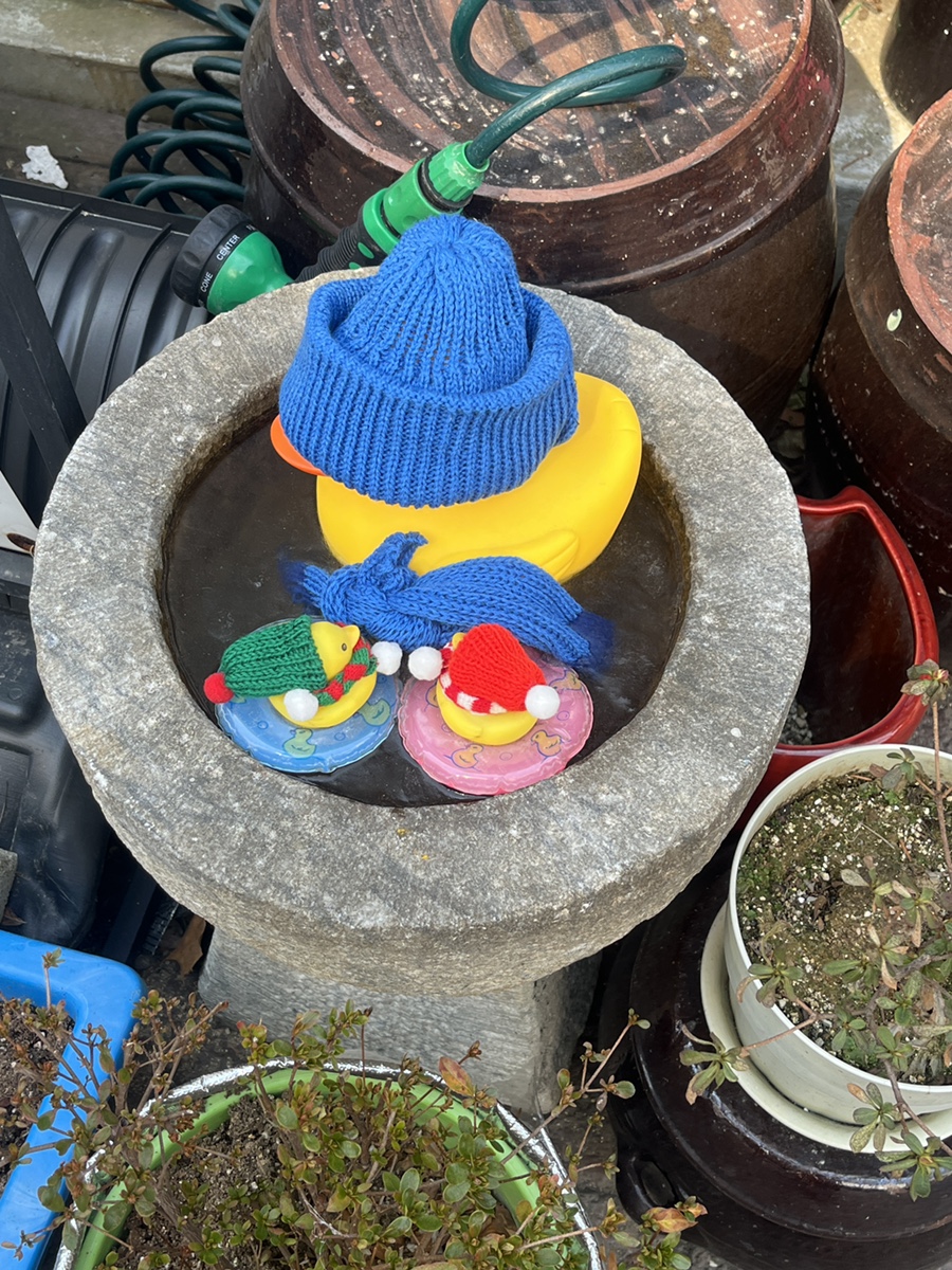 힐링식지락 이미지