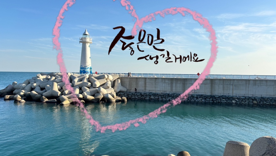 고성댁 이미지