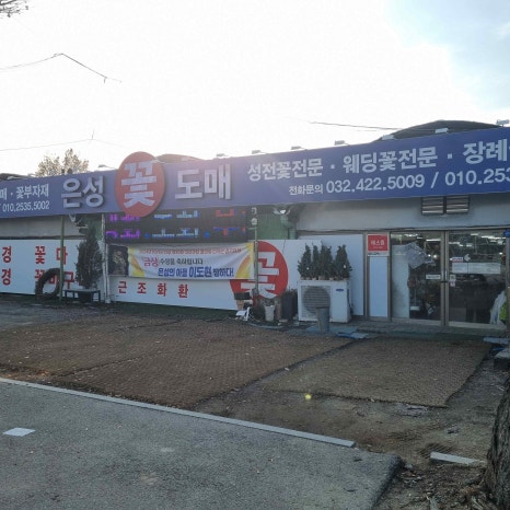 은성 이미지