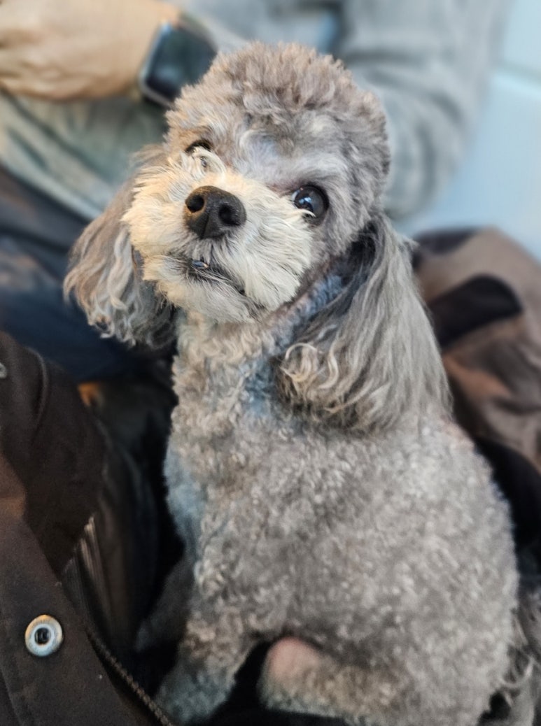 스탁 로스터리 이미지