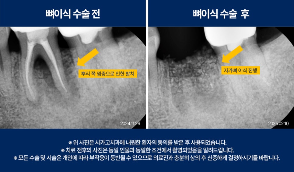 시카고치과의원 이미지