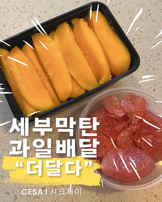 더달다 이미지