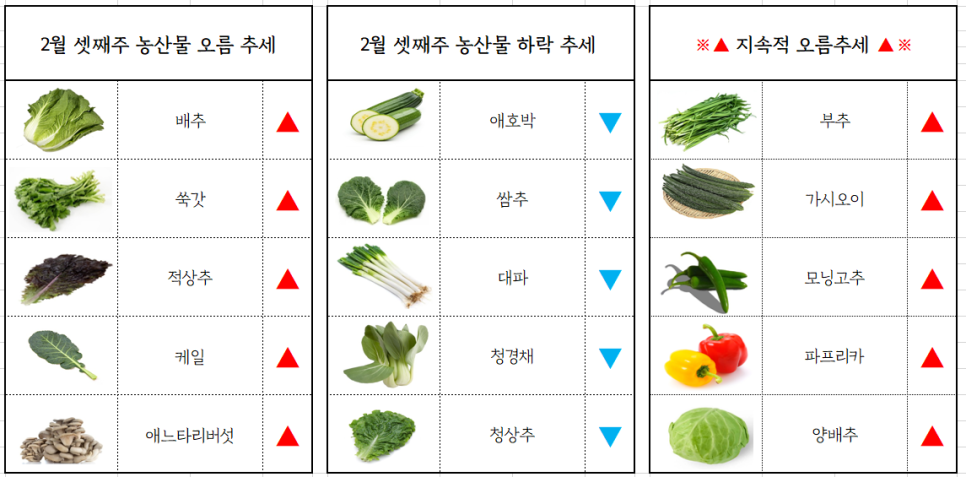 서면유통 이미지