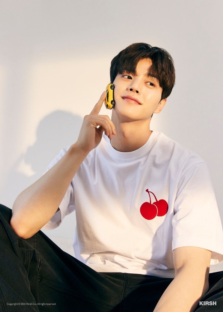 키르시 이미지