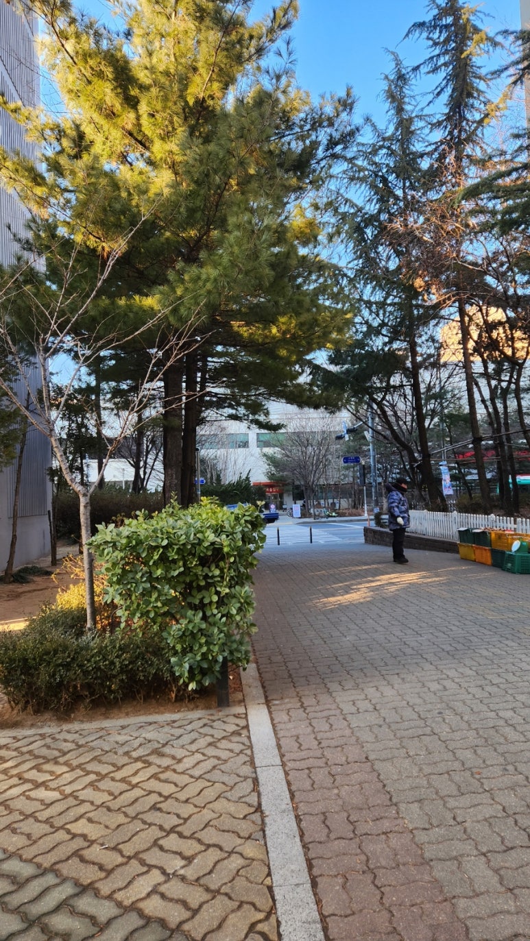 상동호떡 이미지