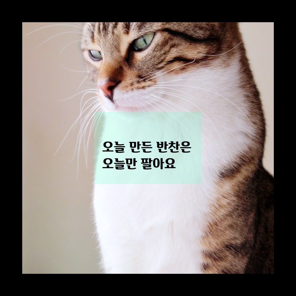 영희언니 이미지