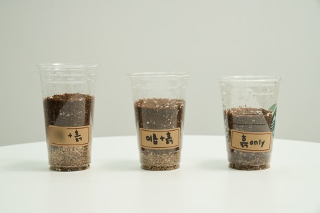 동일퇴비 이미지