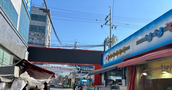 싱싱강남어시장 이미지