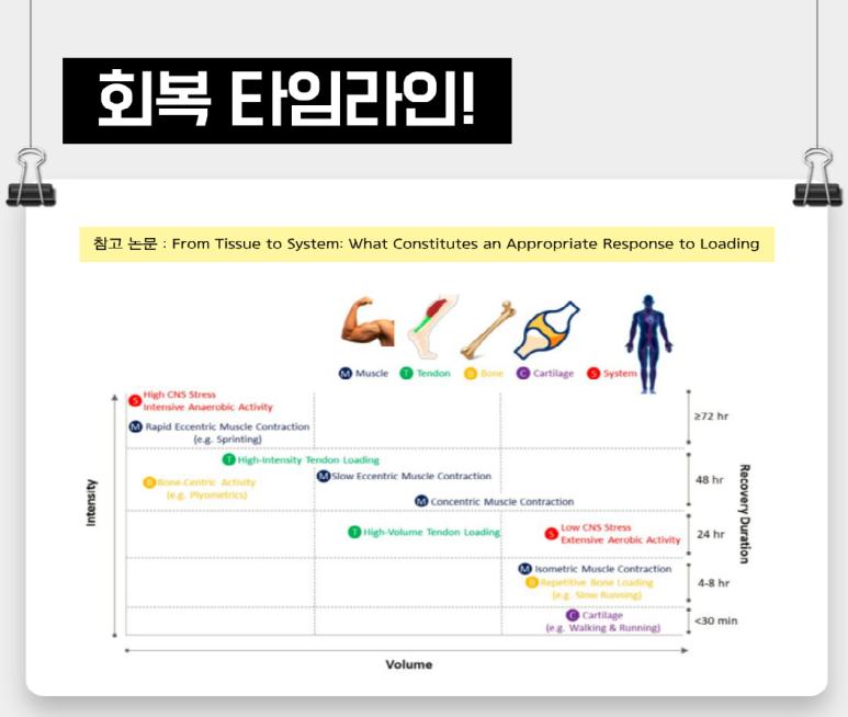 져스트짐 이미지