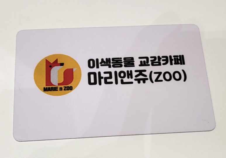 앤쥬 이미지