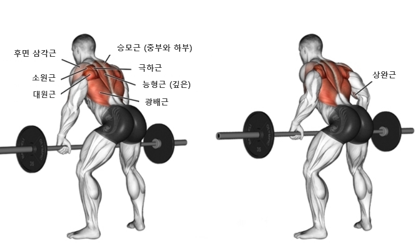 바벨 이미지