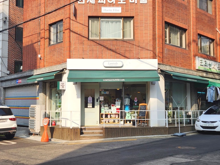 루미테일플라워 이미지