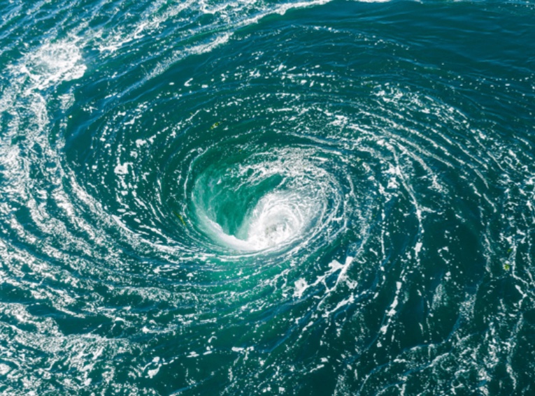 volute 이미지