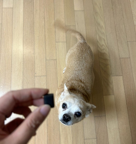 큐어랩스 이미지